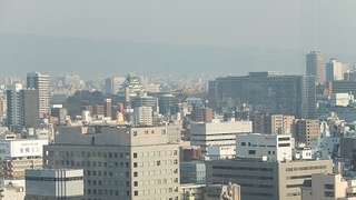 2013-03-16_17077.jpg