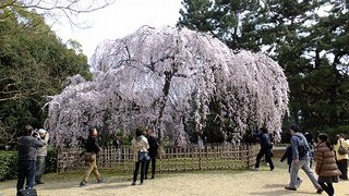 2013-03-23_17584.jpg
