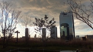 2014-01-15-5484.jpg