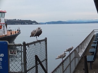 2014-02-06-7236.jpg