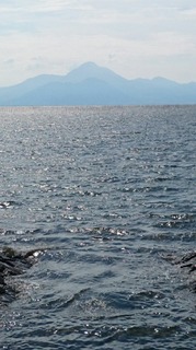 2014091419015700-43925.jpg