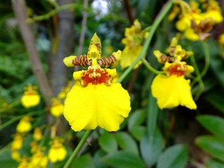 DSCF0040.jpg