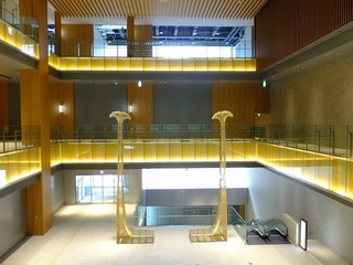 DSCF1303.jpg