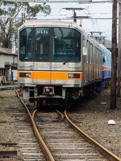 DSCF2426.jpg