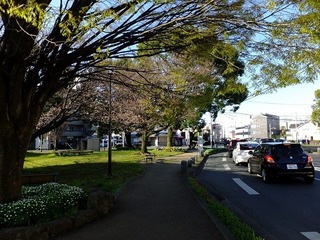 DSCF3343.jpg