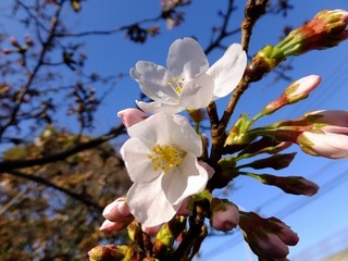 DSCF3345.jpg