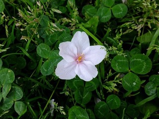 DSCF3502.jpg