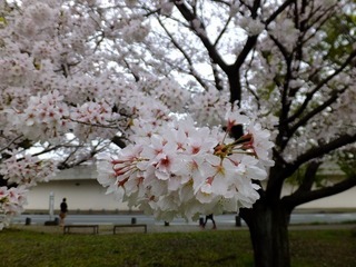 DSCF3505.jpg