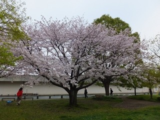 DSCF3507.jpg