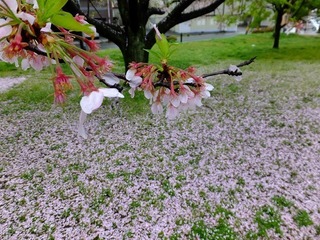 DSCF3732.jpg