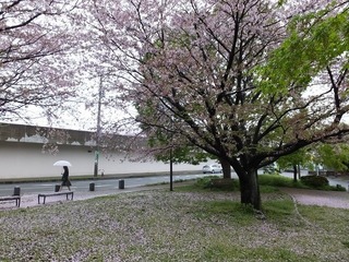 DSCF3742.jpg