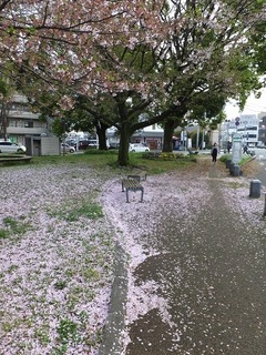 DSCF3743.jpg