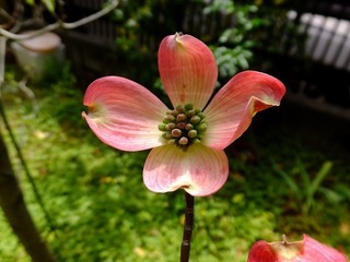 DSCF3745.jpg