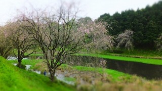 DSCF3759.jpg