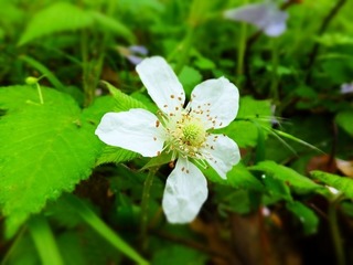 DSCF3769.jpg