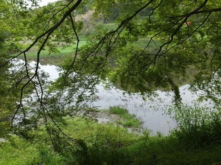 DSCF3784.jpg