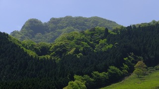 DSCF4529.jpg