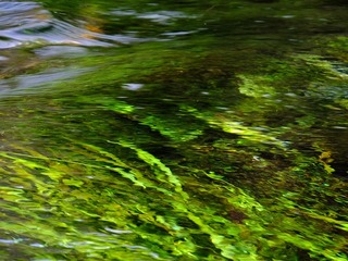 DSCF4557.jpg