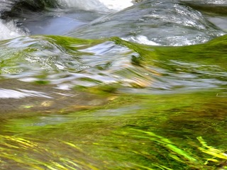 DSCF4558.jpg
