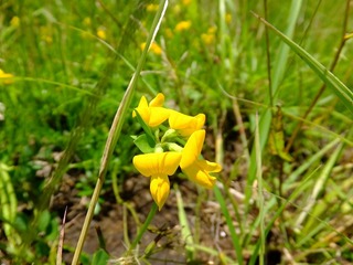 DSCF6671.jpg