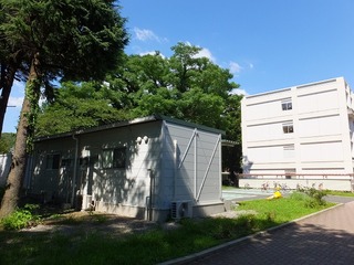 DSCF7005.jpg