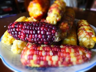 DSCF7456.jpg