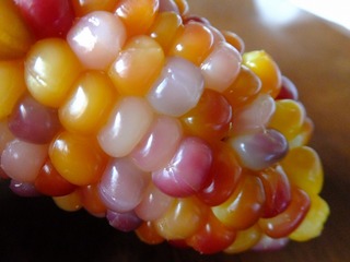 DSCF7461.jpg