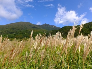 DSCF8269.jpg