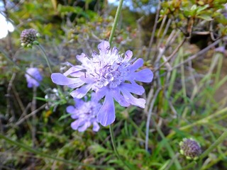 DSCF8305.jpg