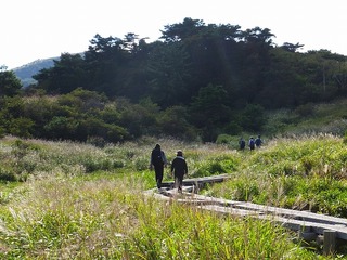 DSCF8327.jpg