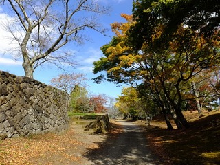 DSCF8878.jpg