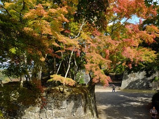 DSCF8895.jpg