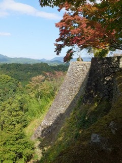 DSCF8902.jpg